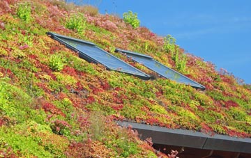 Ratfyn living roof systems